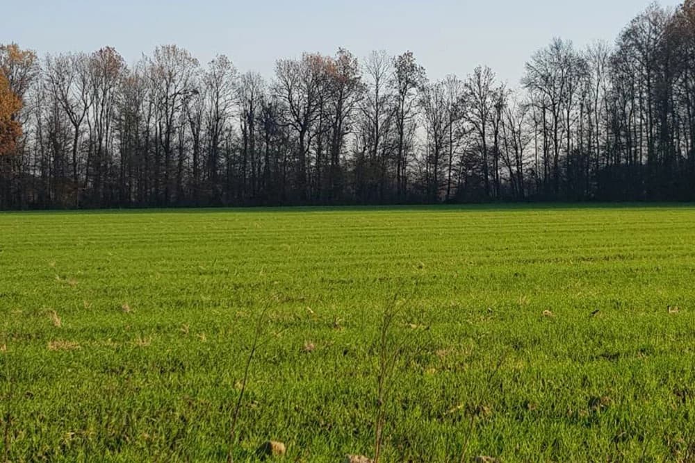 Ratari zabrinuti na uticaj temperatura na usjeve