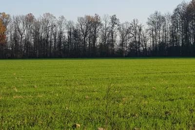 Ratari zabrinuti na uticaj temperatura na usjeve