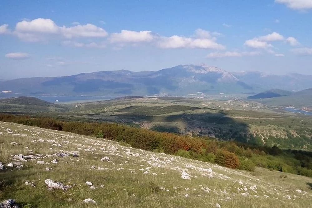 KAKO JE ILIJA TRAVAR PRONAŠAO SVOJ MIR I SREĆU U VRMDŽI