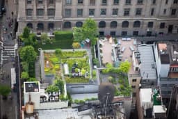 Zeleni krovovi – potencijal urbane poljoprivrede