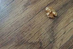 Pomoću ove namirnice očistite ogrebotine po laminatu?