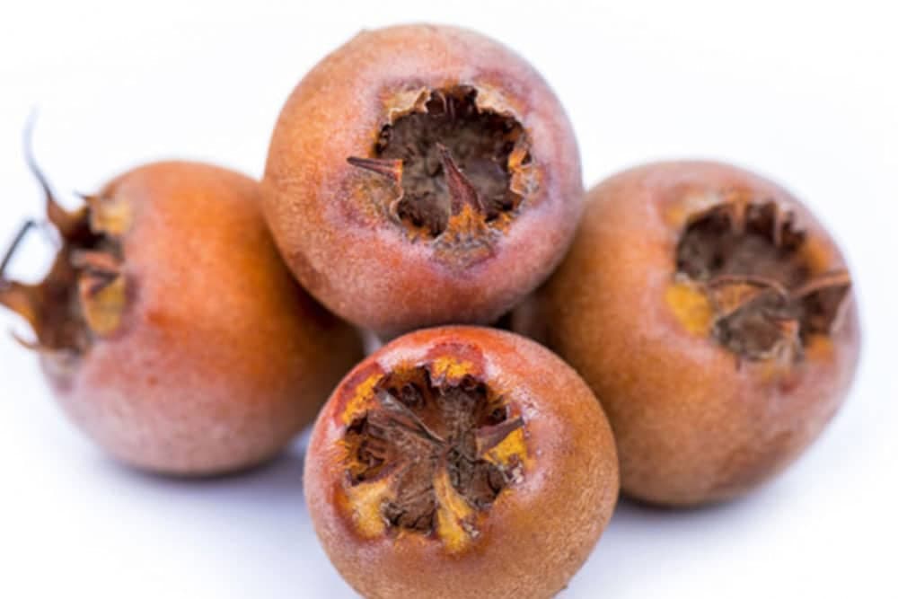 Mušmula je izuzetno ljekovita - Uvrstite je u svoju ishranu!