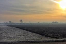 Golomrazica kod ozimih usjeva