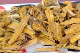 BLAGODATI JEDNE BILJKE: Rujevina - spas za urinarne i bubrežne bolesti pa čak i karcinom