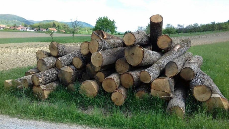 FBiH ukinula obavezu kontrole kvaliteta drvnih sortimenata pri izvozu