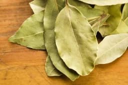 Lovorov list u borbi protiv kašlja