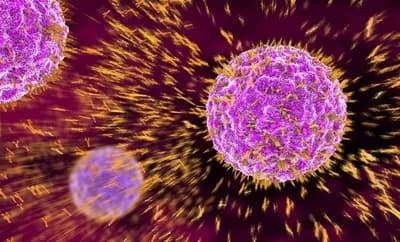 Otkriven virus koji ljude čini glupljim