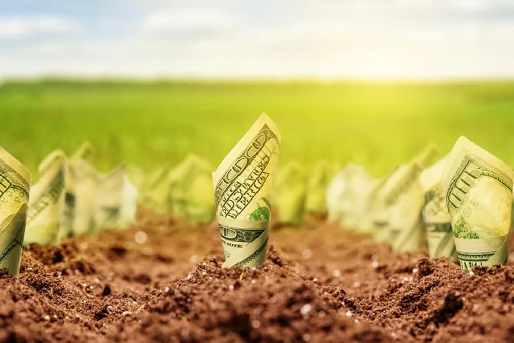 U svijetu na subvencije za poljoprivredu ide milion dolara u minuti