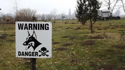 Poljoprivrednici pored rijeke Save na razne načine štite svoju imovinu