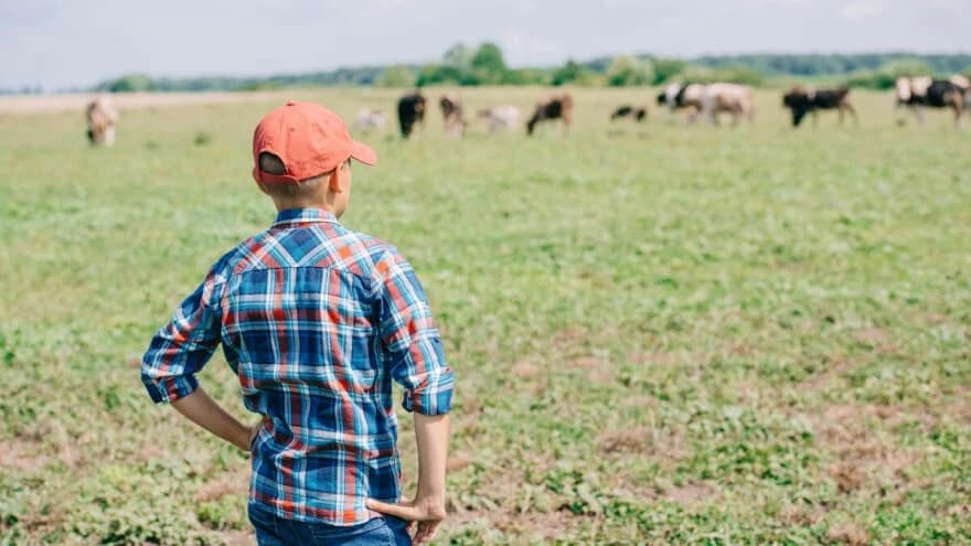 Poljoprivreda u obrazovanju djece