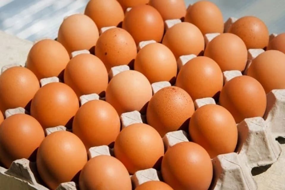 Iz BiH izvezene prve količine konzumnih jaja na tržište Evropske unije