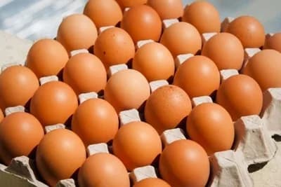 Iz BiH izvezene prve količine konzumnih jaja na tržište Evropske unije