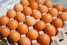 Namirnice koje sigurno prerano bacate