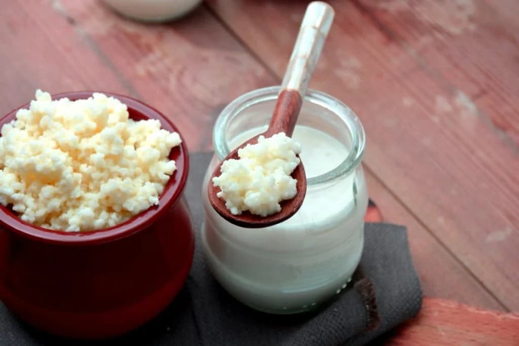 Kefir
