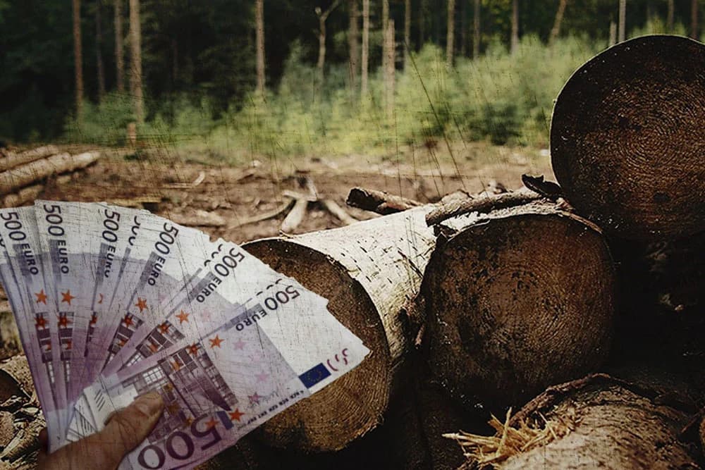 Brčko distrikt: Šumarski inspektor optužen da je uzeo 700 evra mita