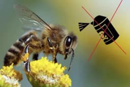 Novi pomor pčela zbog prskanja voća, najavljeno podnošenje krivičnih prijava