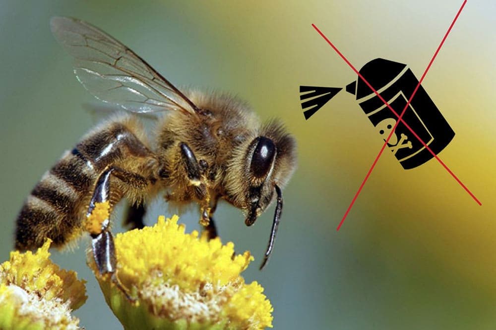 Novi pomor pčela zbog prskanja voća, najavljeno podnošenje krivičnih prijava