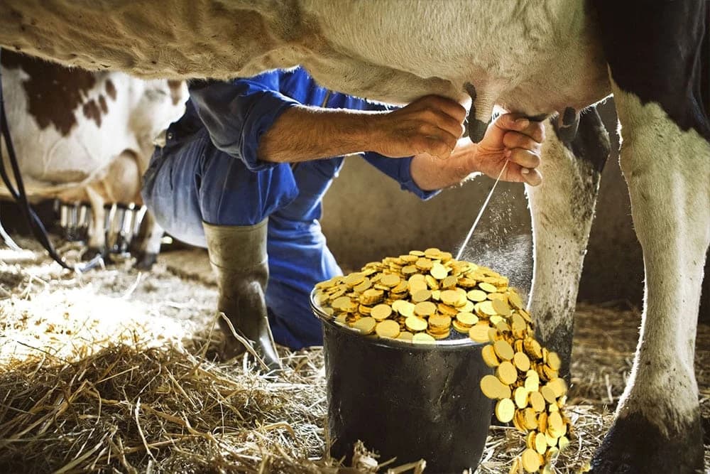 Krenula isplata za proizvodnju mlijeka