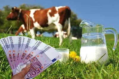 Uplaćeno 2,24 miliona KM za premiju za mlijeko