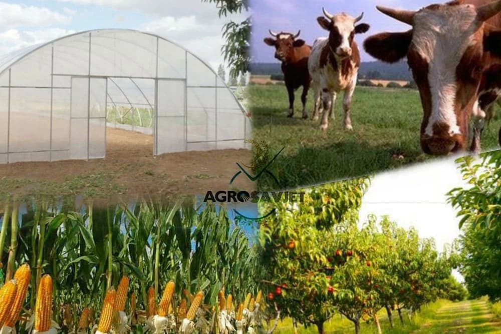 Pravilnik o podsticajima već krajem januara?