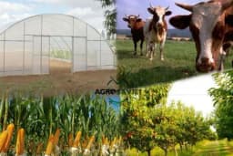 Proizvodnja hrane mora biti apsolutni prioritet