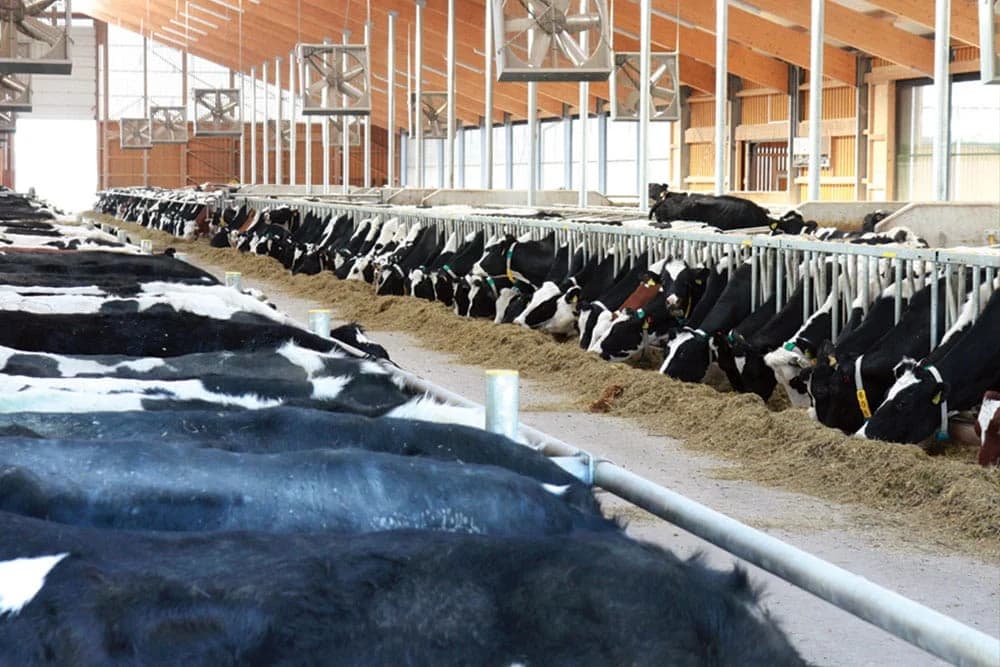 Turski ulagači planiraju investirati u poljoprivrednu proizvodnju u BiH