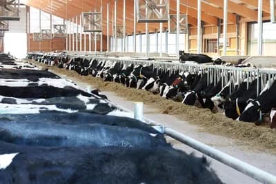 Turski ulagači planiraju investirati u poljoprivrednu proizvodnju u BiH