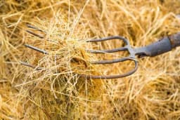 U požaru izgorjelo 2.000 bala sijena i slame