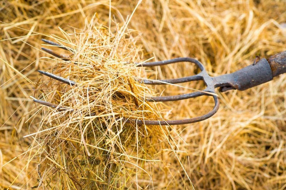 U požaru izgorjelo 2.000 bala sijena i slame