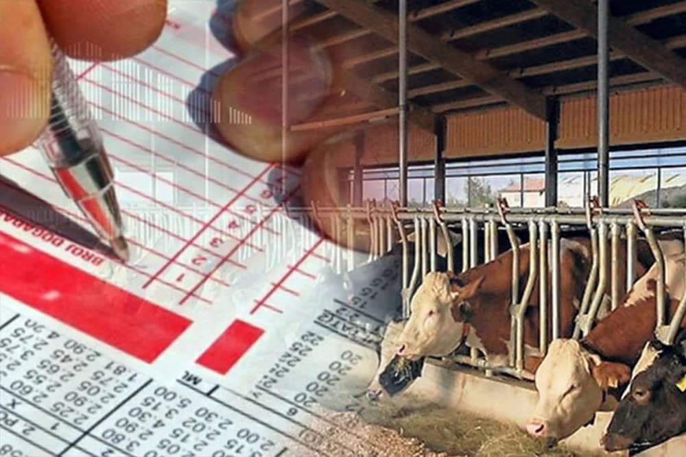 Broj farmi opada, baš onoliko koliko rapidno raste broj kladionica