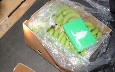 Tona kokaina s bananama zaustavljena na putu za BiH
