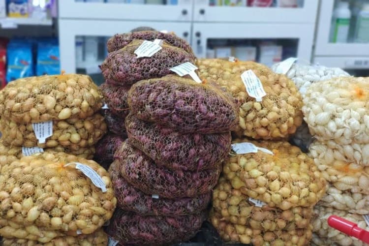 Rast cijene sjemenskog luka zatekao i mušterije i apotekare