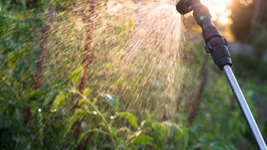 Kako da odaberete odgovarajuću prskalicu za tretiranje biljaka