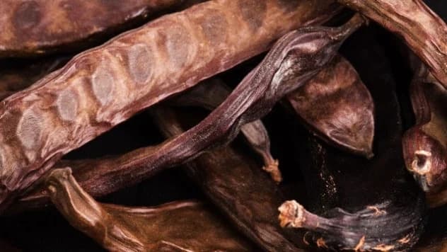 Evo šta sve može ROGAČ