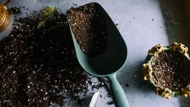 Šta zapravo kupujemo kada kupujemo jeftinu zemlju