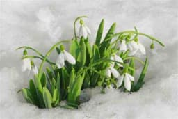 Nastavlja se oblačno vrijeme, a iduće sedmice i sa snijegom