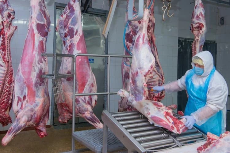 Stočari na mukama, izvoz u Tursku još blokiran