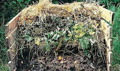 Kompostiranje po kratkom postupku - Kako da za 30 dana proizvedete kompost