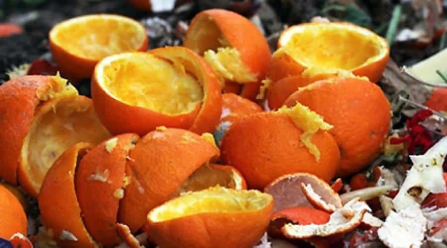 Uz pomoć ovih 5 otpadaka iz kuhinje vaše biljke će biti otpornije i brže će rasti