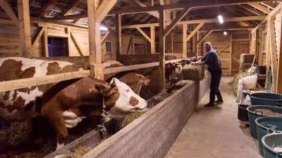 Šta možemo da naučimo od slučaja korona virusa?