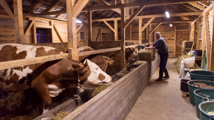 Reakcija Udruženja mljekara povodom novonastale situacije