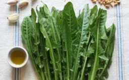 Nalazi se u svakom vrtu, jako je ljekovit, ali samo neki znaju kako ga koristiti!