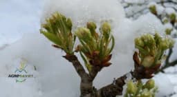 Pogledajte kakvo nas vrijeme očekuje narednih dana