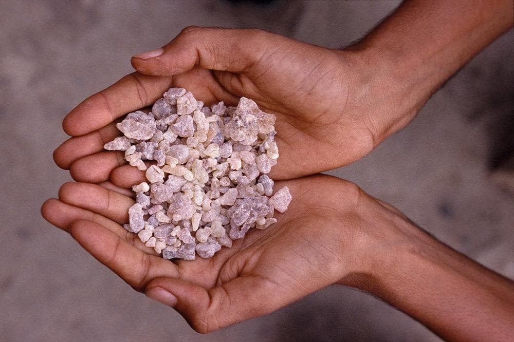 Tamjan ubija sve viruse u vazduhu i liječi pluća!