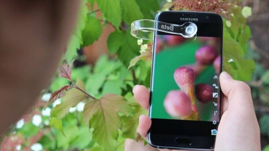 Mini mikroskop detektuje bolesti i štetočine na usjevima, otkriva i fali li im koji mineral