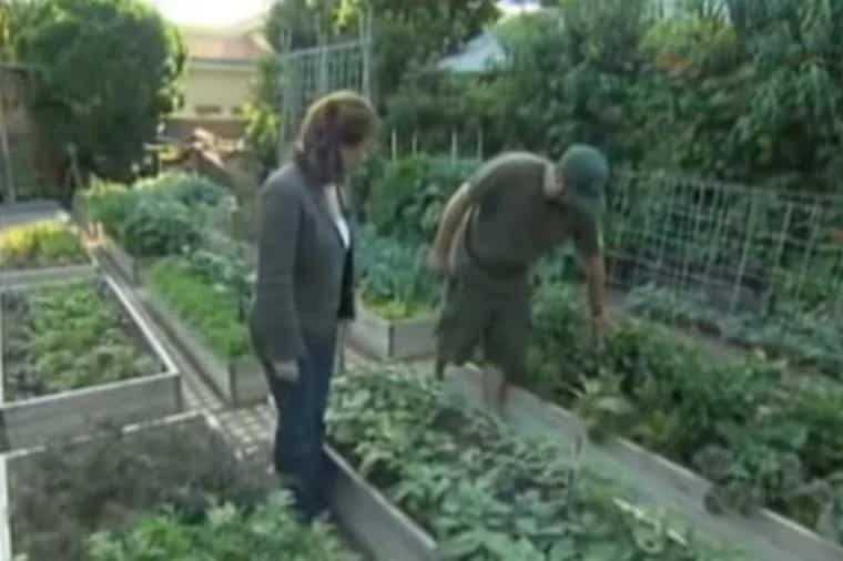 Obogatili se na zemljištu od 4 ara: Ovo može da uradi svako ko ima dvorište! /VIDEO/