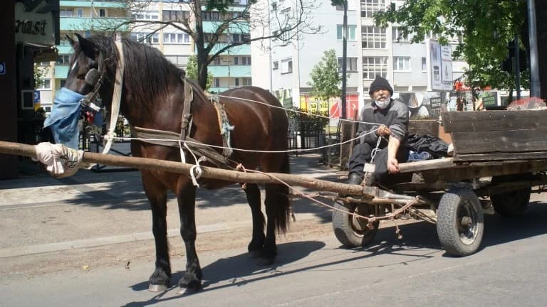 Konji se ponovo vratili u njive u Lijevče polju i Potkozarju