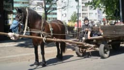 Konji se ponovo vratili u njive u Lijevče polju i Potkozarju