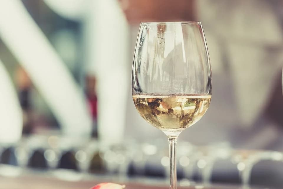 bistrenje vina
