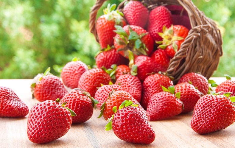 Kako da uzgajate JEDNOMJESEČNE JAGODE